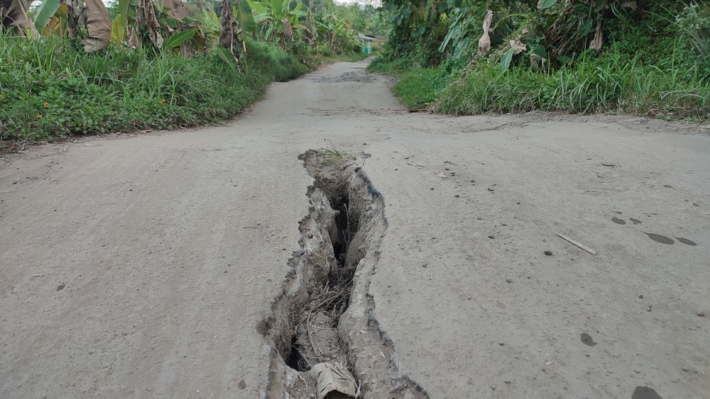 A cracked and damaged asphalt road in a rural area, surrounded by overgrown grass and vegetation, showing signs of severe surface failure and structural wear.